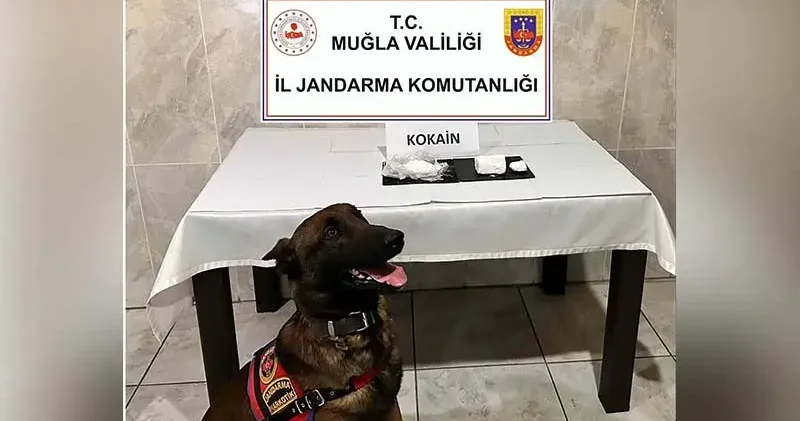 Yolcu otobüsüyle uyuşturucu sevkiyatı Etil e takıldı