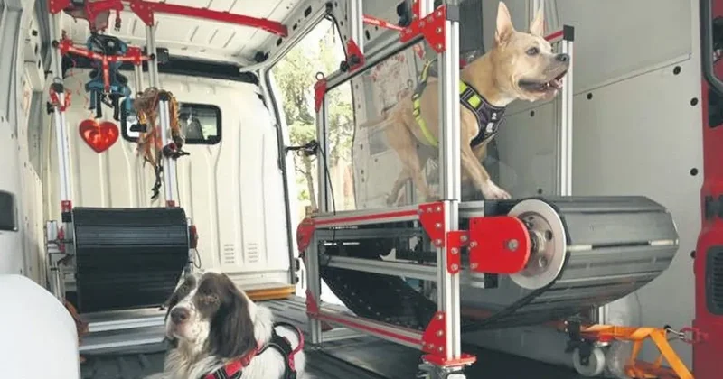 Köpeklere gezici spor salonu