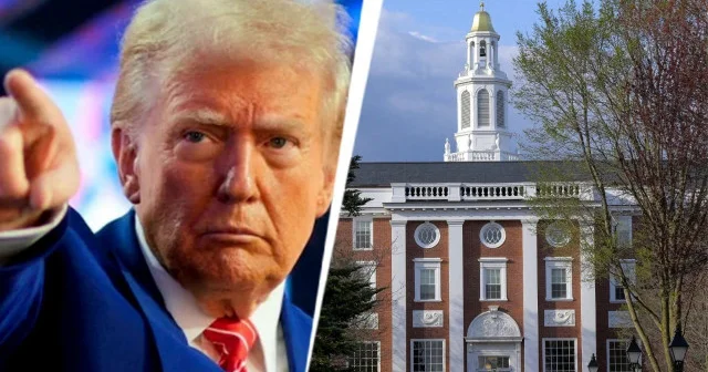 Japonya dan üniversite öğrencilerine Trump çağrısı: Kaydı tehlikede olan öğrencilerin kabulü için harekete geçildi Asya Haberleri
