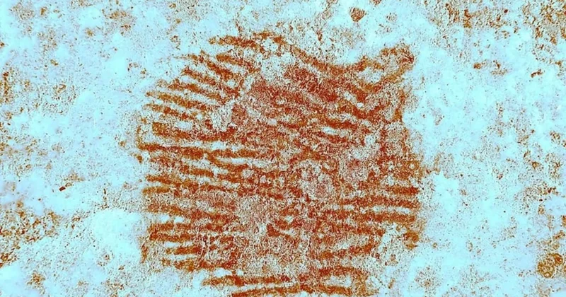 43 bin yıllık! Dünyanın en eski parmak izi keşfedildi: Sanat tarihi yeniden yazılıyor Sözcü Gazetesi