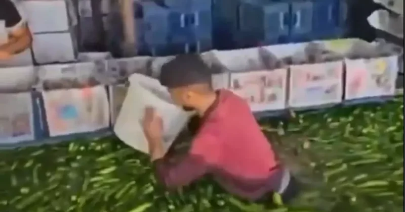Mide bulandıran görüntüler Türkiye den! Çıplak ayakla salatalık havuzuna daldı