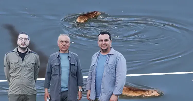 Diyarbakır da görüntülenen canlı için bilim insanları kente geldi... Kapanlarla yakalayıp üzerinde çalışma yapacaklar