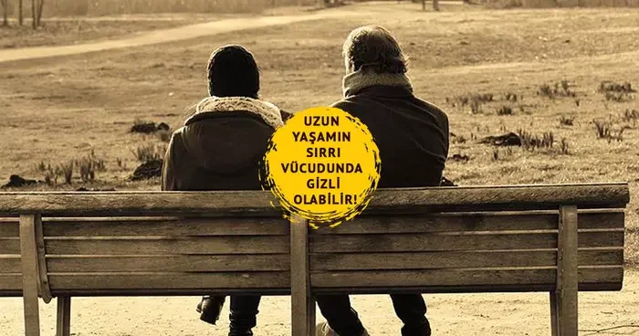 Uzun yaşamın sırrı vücudunda gizli olabilir! Vücudun gizli gücü: Vagus siniri nedir? Vagus siniri nasıl uyarılır?