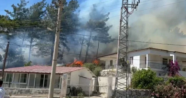 Muğla da orman yangını: Tüm ekipler seferber oldu Muğla Haberleri