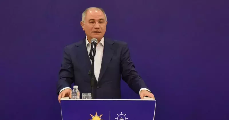 Efkan Ala: Silah bırakmanın bu yaz gerçekleşmesini öngörüyoruz