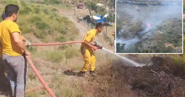 Marmaris’te belediye ihmali: Orman kül oldu Muğla Haberleri