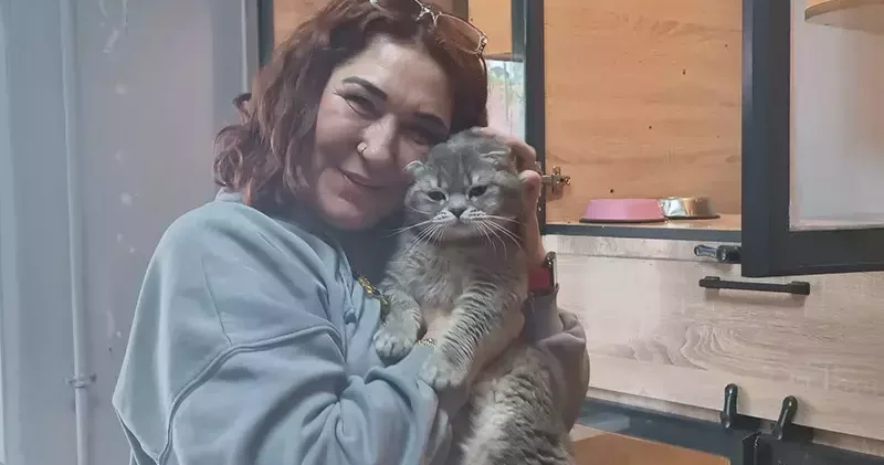 Veteriner hekim sokak hayvanlarını tedavisini yapıp sahiplendiriyor