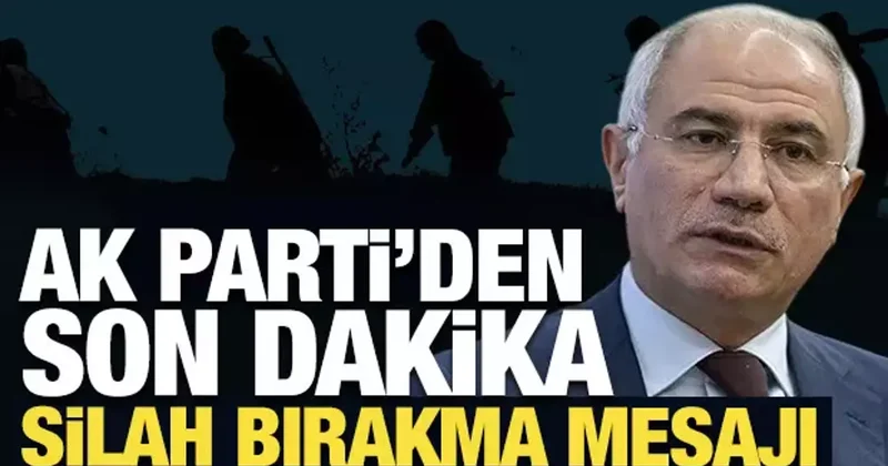 Terör örgütü silahları ne zaman bırakacak? AK Partili Ala dan açıklama!
