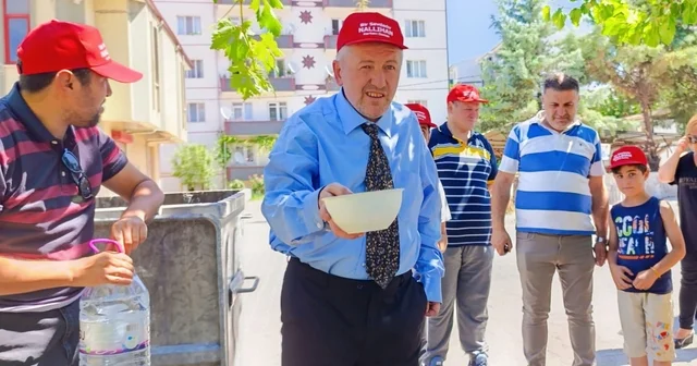 Nallıhan da sahipsiz hayvanlar için mama ve su bırakıldı Ankara Haberleri