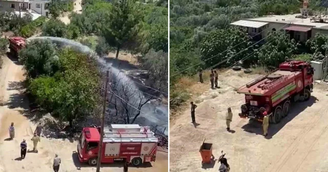 Mersin de kayısı bahçesinde yangın: Ekiplerin hızlı müdahalesi ile söndürüldü Mersin Haberleri