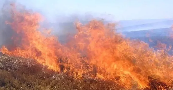 Meteoroloji den orman yangını uyarısı