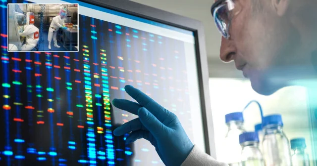 DNA lar yeniden kodlanacak: Laboratuvarda insan üretimi başlıyor Aktüel Haberleri
