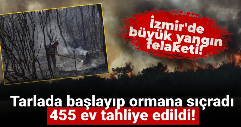 İzmir de büyük yangın felaketi: Tarlada başlayıp ormana sıçradı 455 ev tahliye edildi!