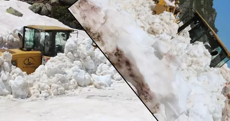 Rize de Haziran ayının sonunda kış yaşanıyor! Evler çığ altında!