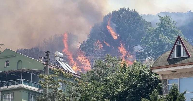 SON DAKİKA Bursa da korkutan yangın! Makilik alanda çıktı evlere sıçradı
