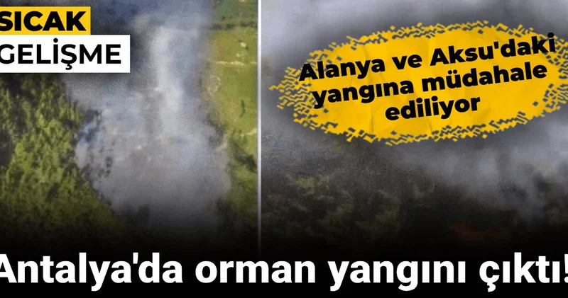 Antalya da orman yangını çıktı! Alanya ve Aksu daki yangına müdahale ediliyor