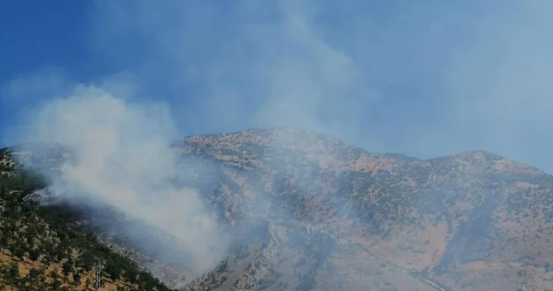 Kahramanmaraş ta orman yangını