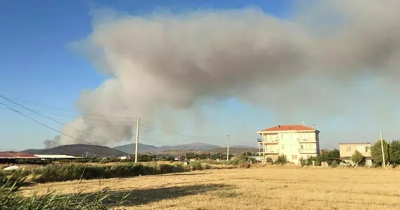 İzmir de sanayide çıkan yangın ormana sıçradı