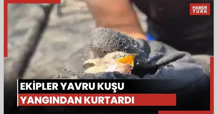 Yangından kuşu kurtardılar