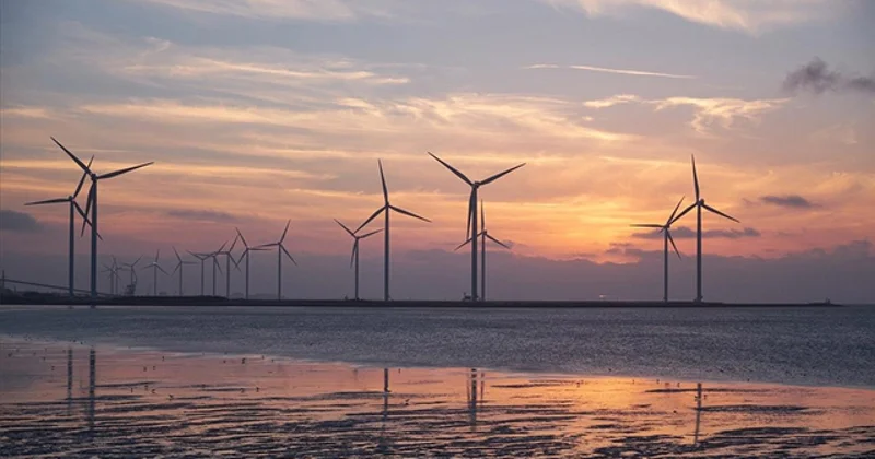 Küresel deniz üstü rüzgar enerjisi 73 milyon haneye elektrik sağlıyor