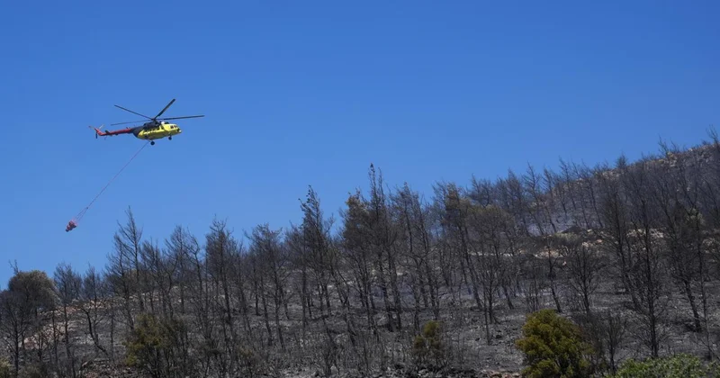 İzmir Aliağa da orman yangınına neden olan şüpheli tutuklandı