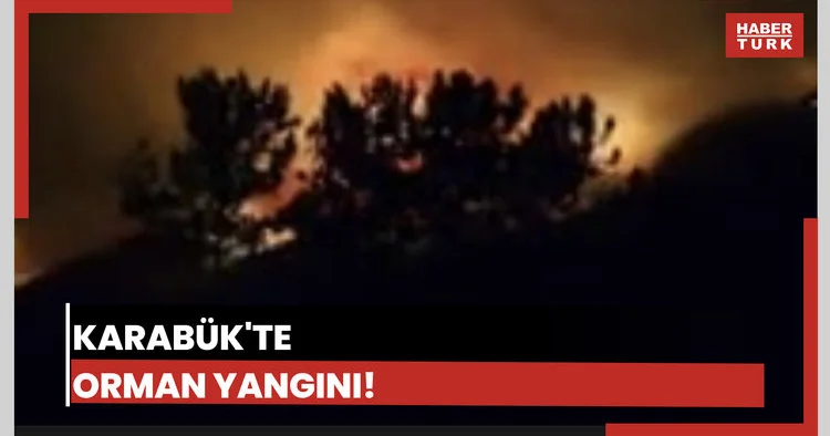 Karabük teki orman yangını