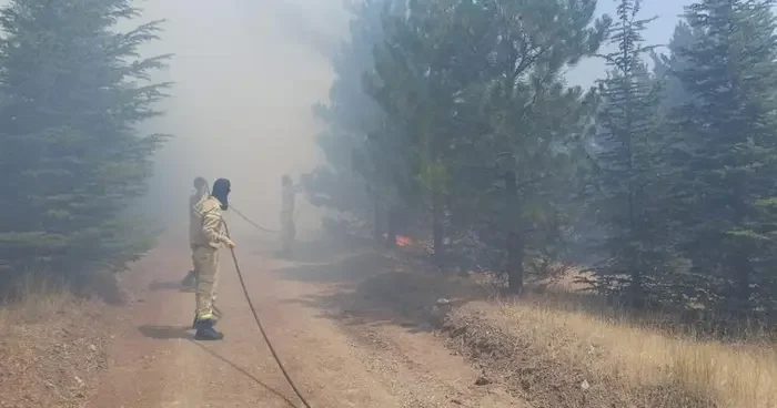 Malatya’da ormanlık alanda yangın