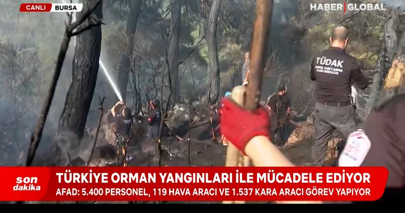 Bursa da yangınla mücadele sürüyor: 110 hektar etkilendi
