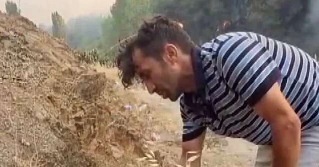 Bursa da yangından kurtardığı kaplumbağayı su dökerek böyle kendine getirdi VİDEO İZLE