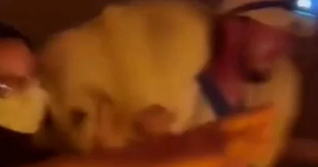 Köpeği omuzuna alarak yangından kurtardı VİDEO İZLE