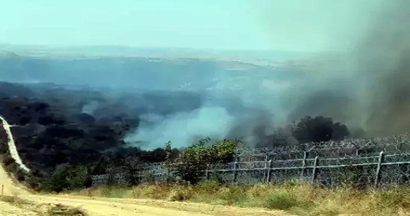 Bulgaristan’daki orman yangını, Türkiye sınırına ulaştı