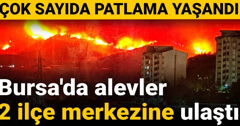 Bursa da alevler 2 ilçe merkezine ulaştı: Çok sayıda patlama yaşandı