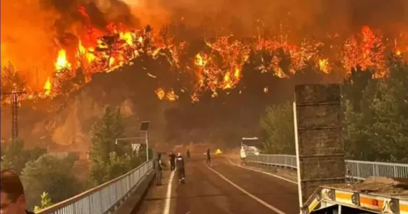 Yeşil Vatan a kıyanlar kaçamadı