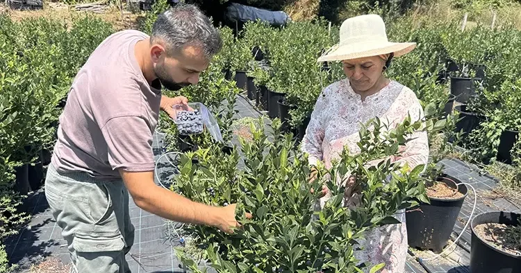 KKTC de okurken tadından etkilendi, şimdi Zonguldak ta üretimini yapıyor Litvanya dan özel toprak getirtti