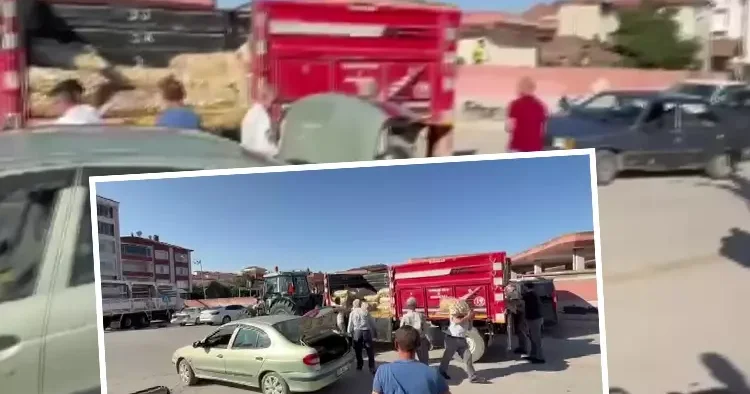 Genç çiftçi, vatandaşa ücretsiz dağıttı: Kamyonla getirdi, kapış kapış götürüldü