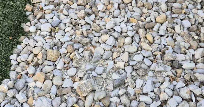 Sadece en zekiler görebilecek! Resimdeki gizli golf topunu 9 saniyede bulmak için bir dahi olmak gerekiyor