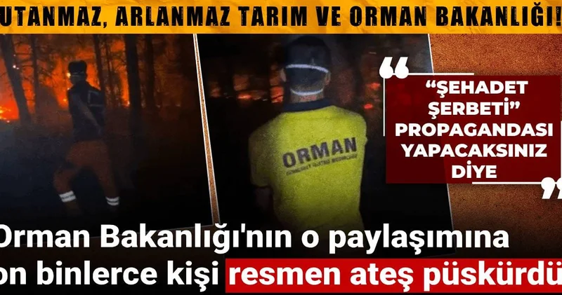 Orman Bakanlığı nın o paylaşımına on binlerce kişi resmen ateş püskürdü!