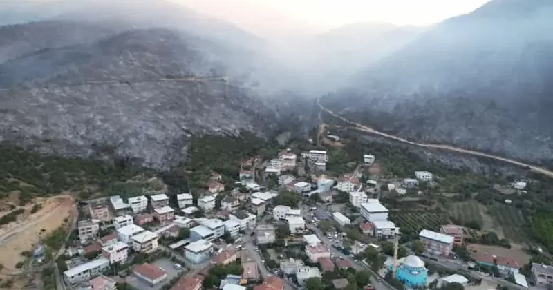 Bursa daki yangının acı boyutu gün ağarınca ortaya çıktı