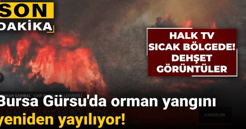 Bursa Gürsu da orman yangını yeniden yayılıyor! Halk TV sıcak bölgede: Dehşet görüntüler