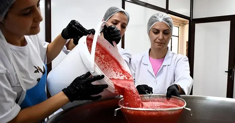 Değerine değer kattılar: Kilosu 1 lira olan meyveden üretip 250 liraya satıyorlar