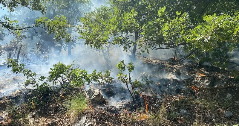 Bir orman yangını da Osmaniye’nin Düziçi ilçesinde başladı