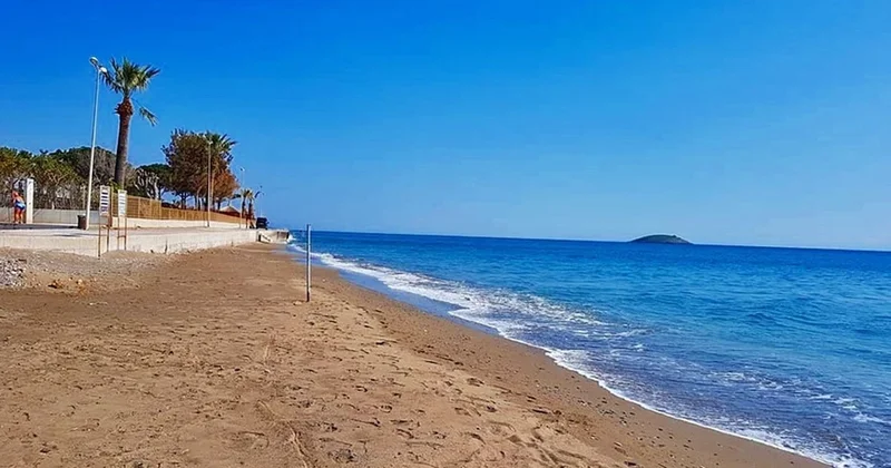 İzmir de otel çalışanları fark etti: Sahildeki yüzlercesi koruma altına alındı Sözcü Gazetesi