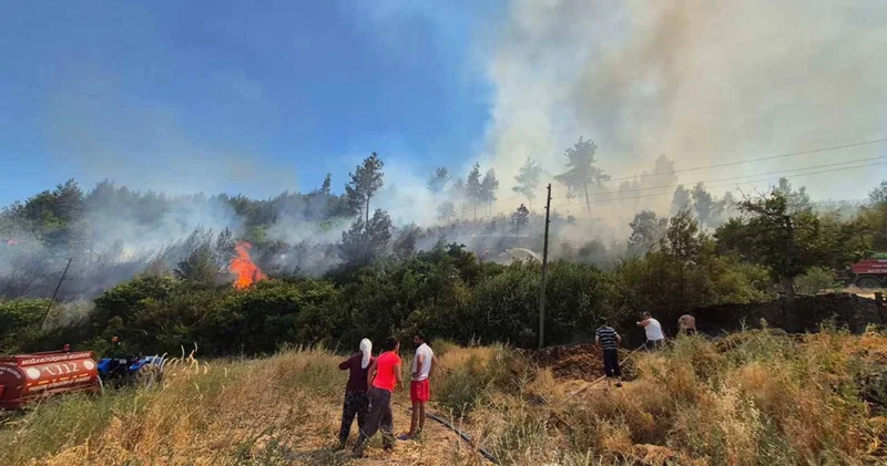 Muğla Menteşe de orman yangını başladı: Ekipler müdahale ediyor