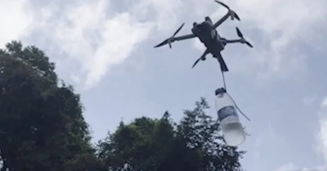 Çay hasadı yapan akrabasına dronla su taşıdı VİDEO İZLE