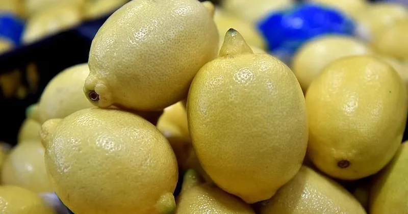 Limonu kiloyla almak hayal oldu! Pazarlarda tane fiyatı şoke etti Sözcü Gazetesi