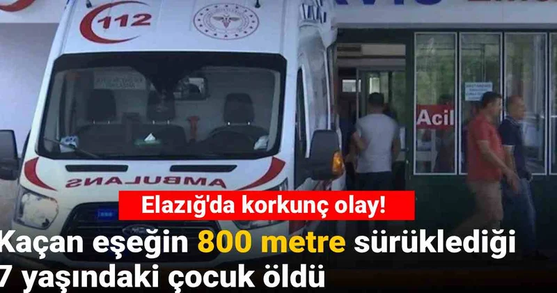 Elazığ da korkunç olay! Kaçan eşeğin sürüklediği 7 yaşındaki çocuk öldü