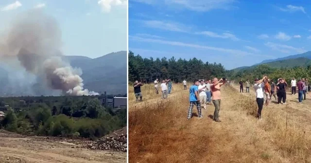 Ormanlık alanda yangın: Çok sayıda ekip sevk edildi Sakarya Haberleri