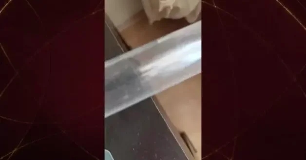 Arıcılık eğitmeninin düzeneğini görenler gözlerine inanamadı!