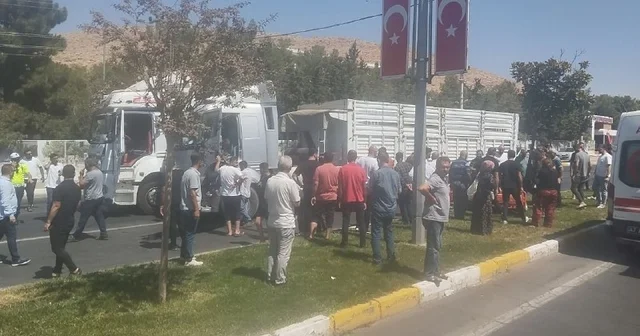 Mardin de 5 araç zincirleme kazaya karıştı Mardin Haberleri
