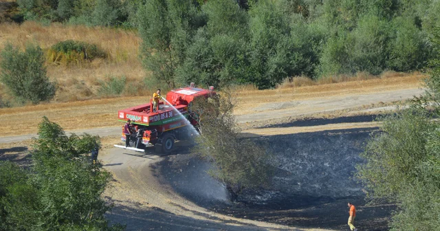 Samsun da anız yangınlarında yaklaşık 620 dekar tarım arazisi zarar gördü Samsun Haberleri